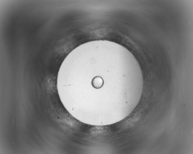 X0000060230672200510281136
