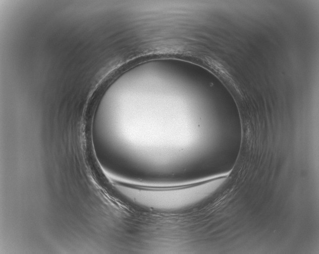 X0000060230676200510281135