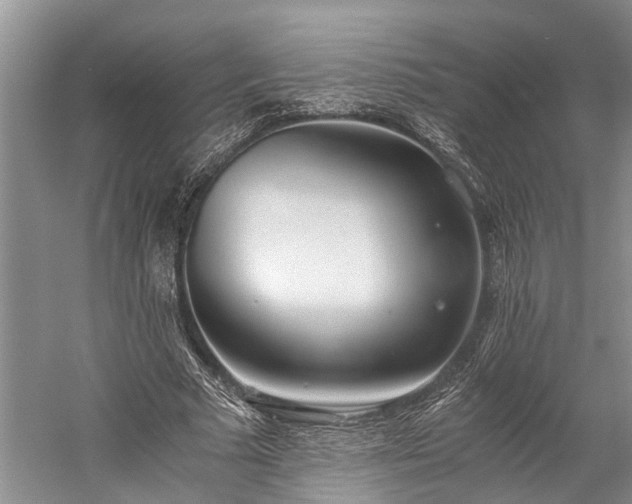 X0000060230681200510281135