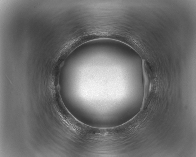 X0000060230688200510281135