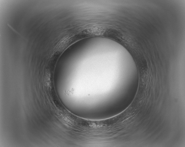 X0000060230693200510281135