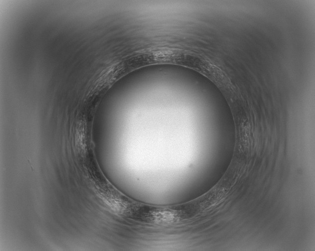 X0000060230698200510281135