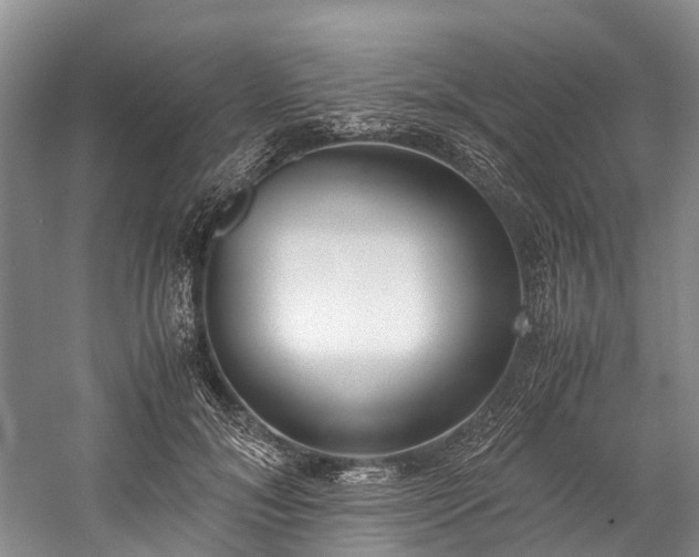 X0000060230700200510281135