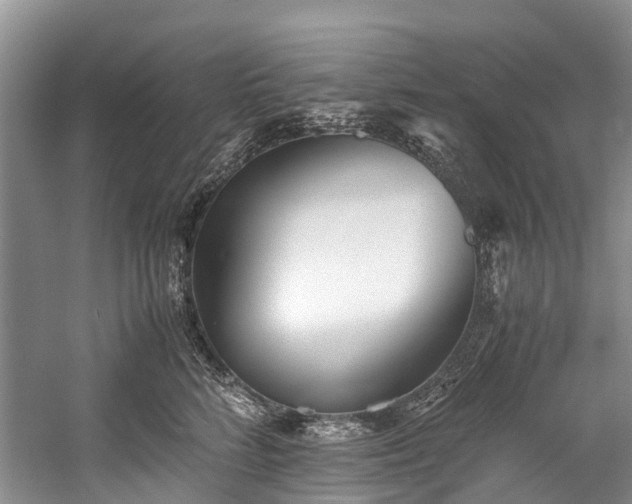 X0000060230712200510281134
