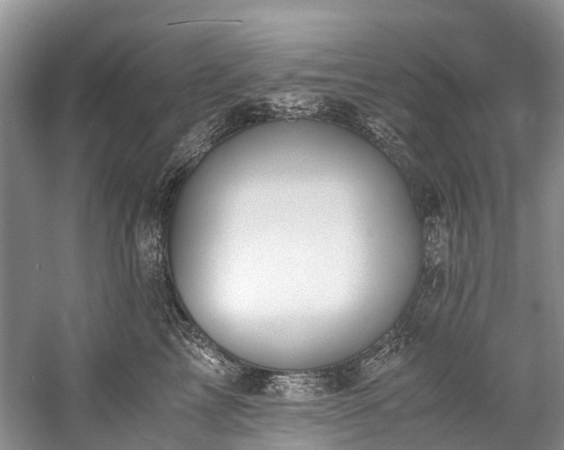 X0000060230713200510281134