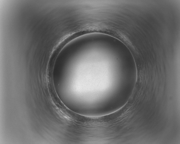 X0000060230722200510281133