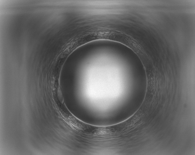 X0000060230750200510281134