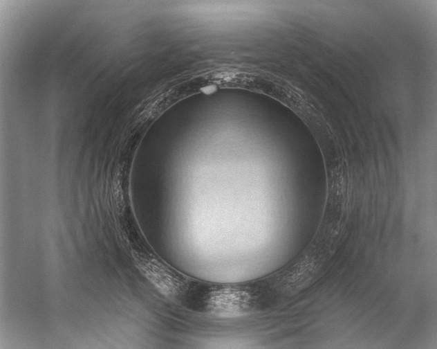 X0000060230754200510281134