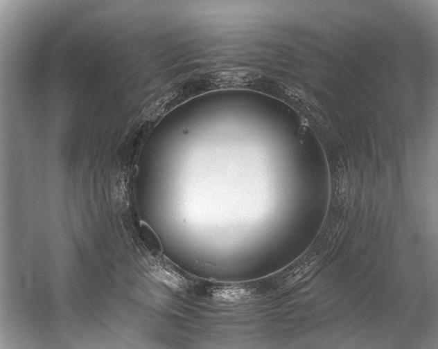 X0000060230759200510281134