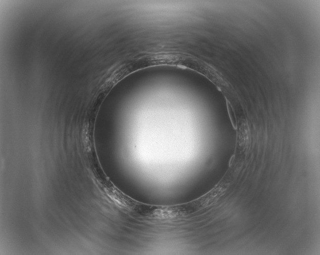 X0000060230764200510281134