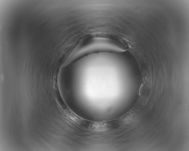 X0000060230767200510281134