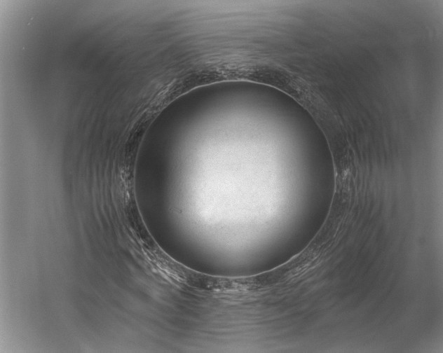 X0000060230772200510281133