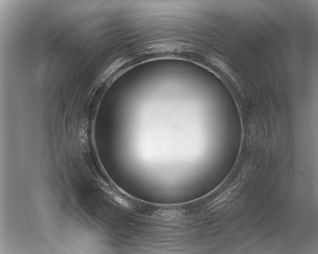 X0000060230778200510281133