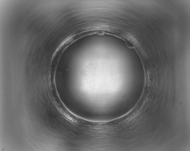 X0000060230780200510281133