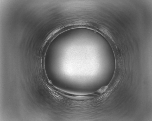 X0000060230781200510281133