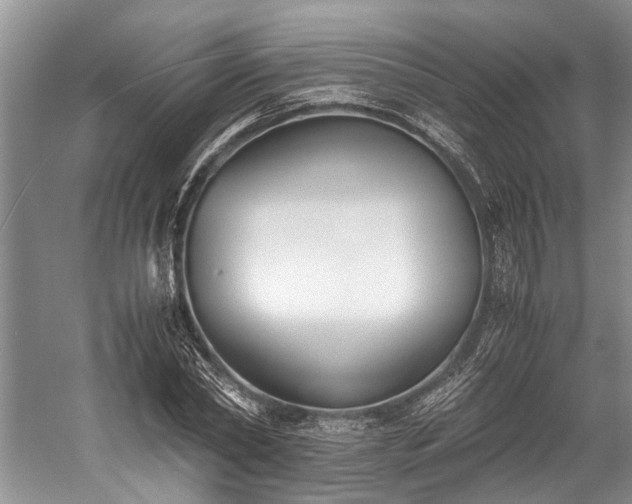 X0000060230782200510281133