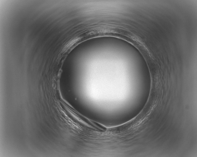 X0000060230785200510281133