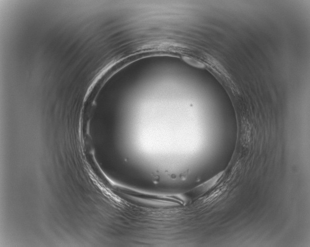 X0000060230788200510281133