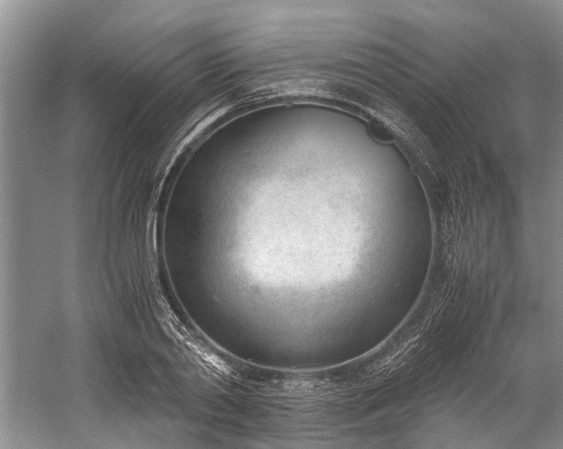 X0000060230790200510281133