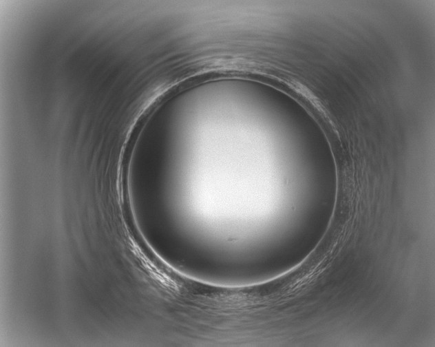 X0000060230791200510281133