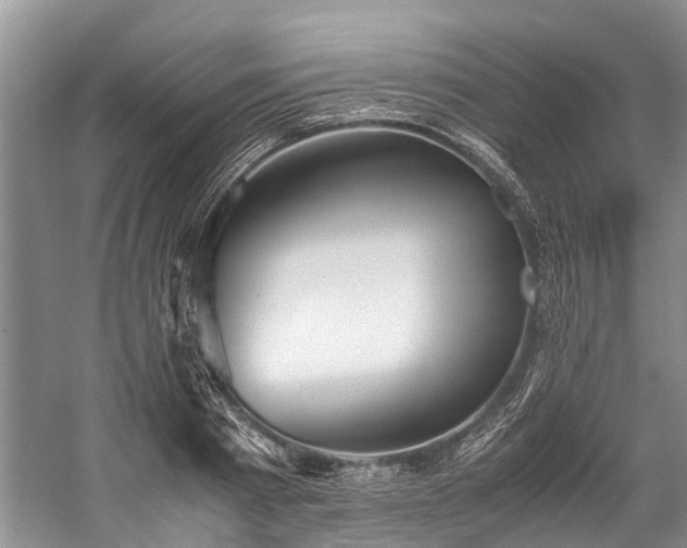X0000060230793200510281133