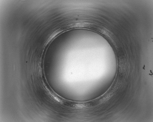 X0000060230794200510281133