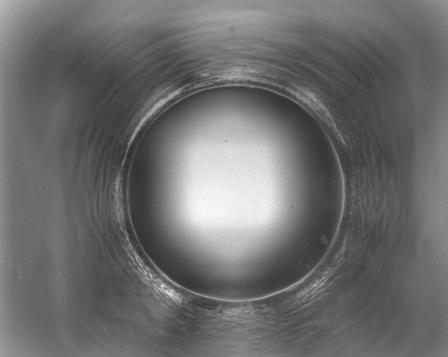 X0000060230798200510281133