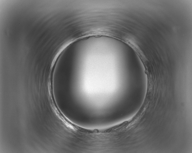 X0000060230812200510281133