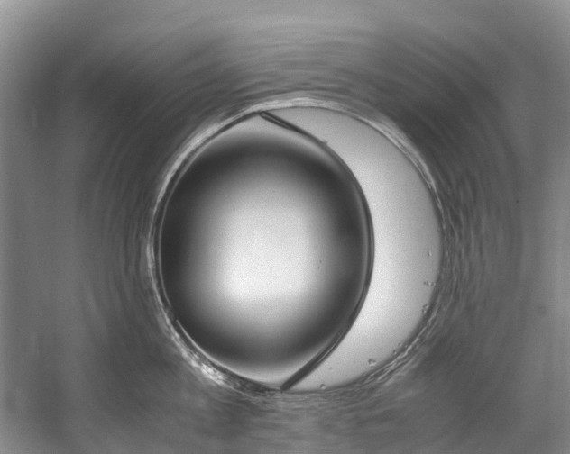 X0000060230813200510281133