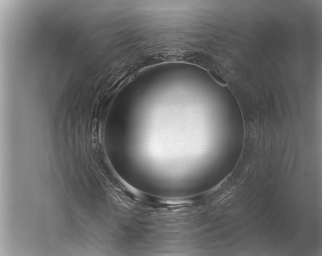 X0000060230818200510281132