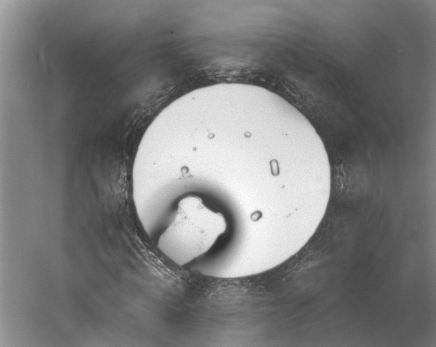 X0000060230820200510281132
