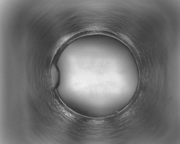 X0000060230831200510281132