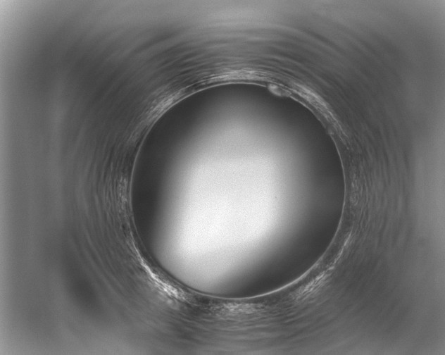 X0000060230849200510281132