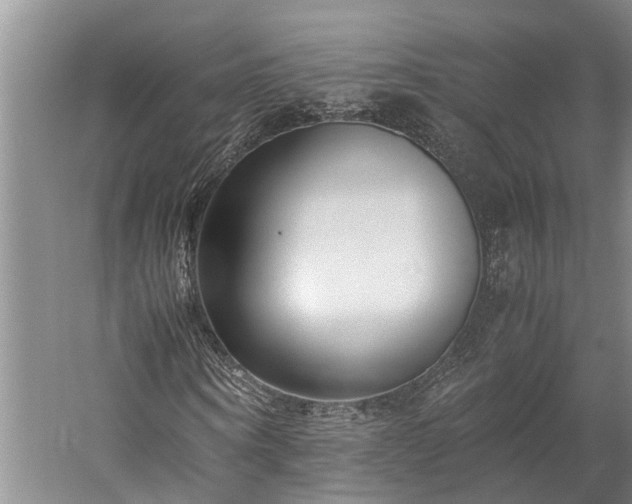 X0000060230866200510281132