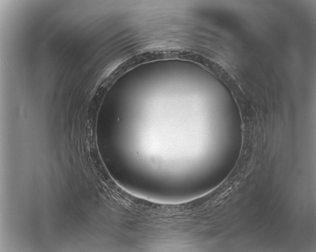X0000060230871200510281132