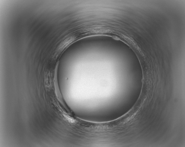 X0000060230889200510281131