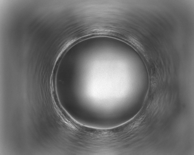 X0000060230891200510281131