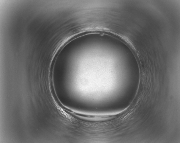 X0000060230895200510281131