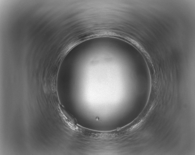 X0000060230905200510281131