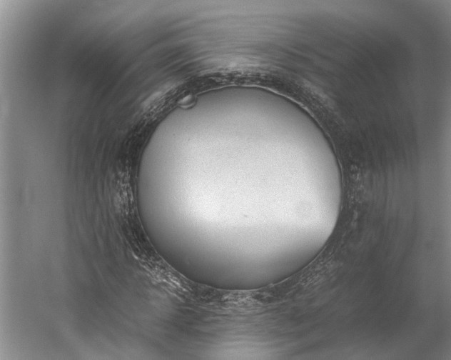X0000060230918200510281130