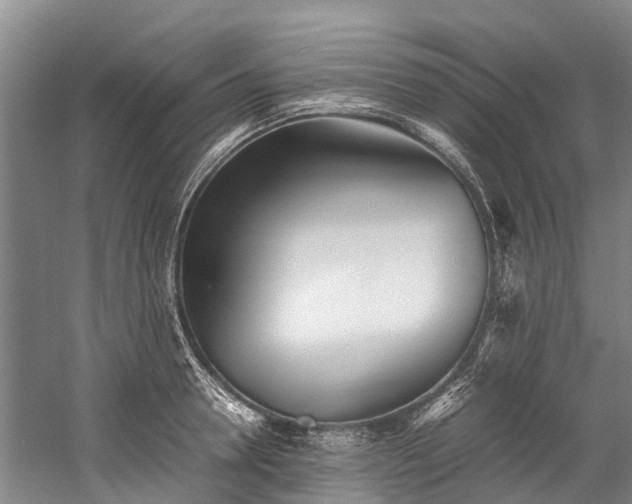 X0000060230946200510281131