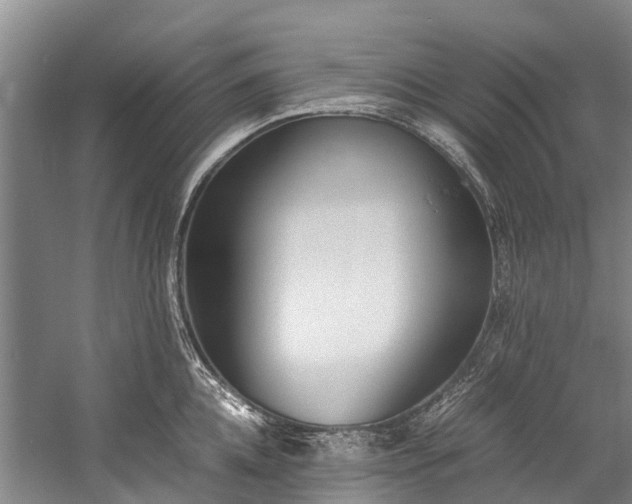 X0000060230952200510281131
