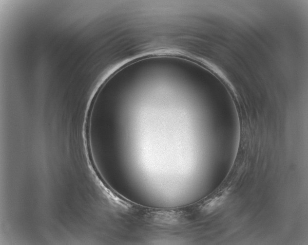 X0000060230959200510281131