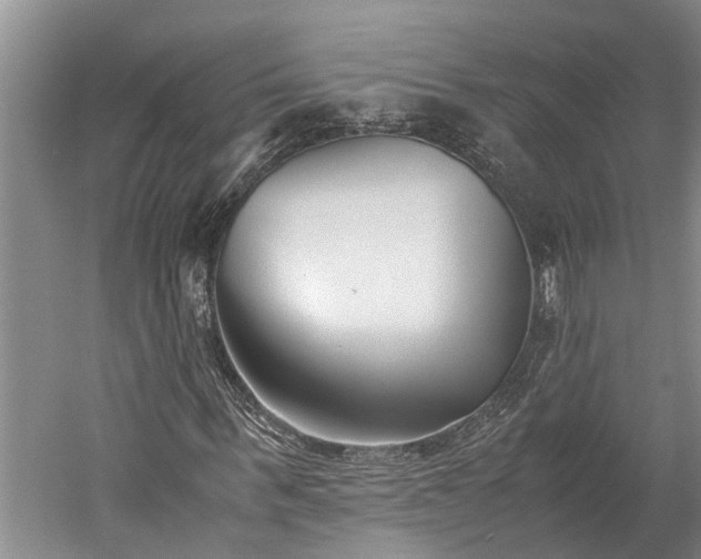X0000060230963200510281130