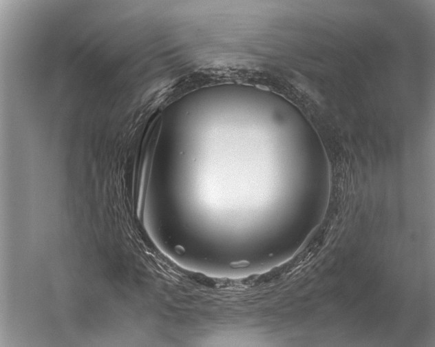 X0000060230965200510281130