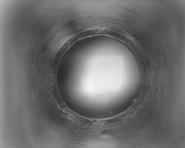 X0000060230967200510281130