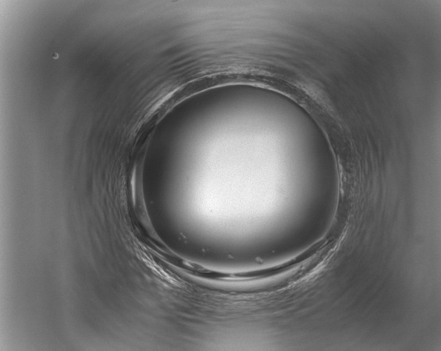 X0000060230969200510281130