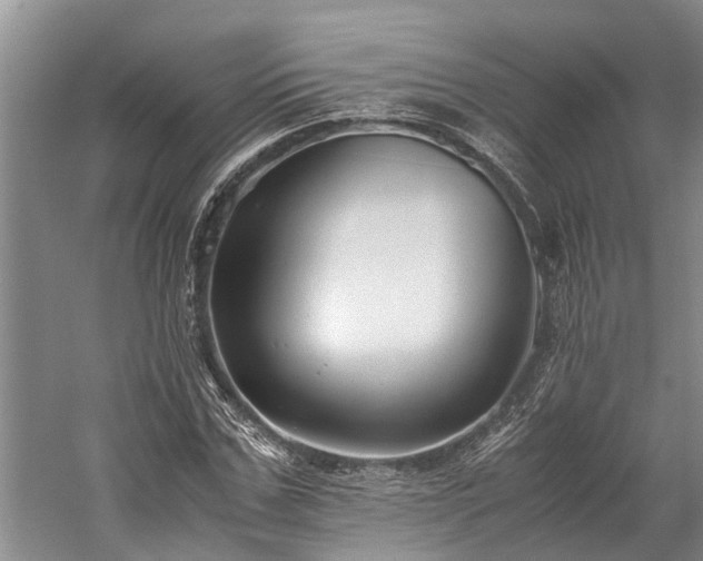 X0000060230971200510281130