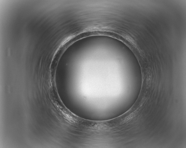 X0000060230974200510281130