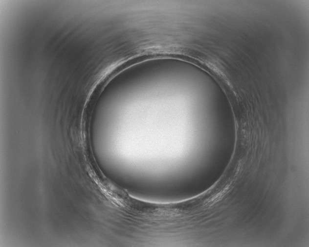 X0000060230981200510281130
